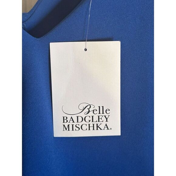 NWT BADGLEY MISCHKA POPOVER SILHOUETTE V NECKLINE SLEEVELESS FALLYN size 10 - Picture 6 of 10